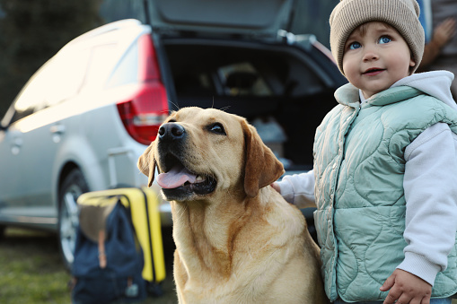 Cute kid and dog outdoors. Family traveling with pet