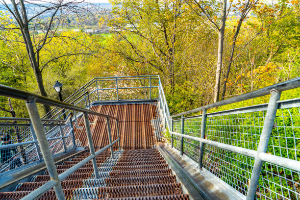 Stairs lead down into a forest in Manchester, CT, United States