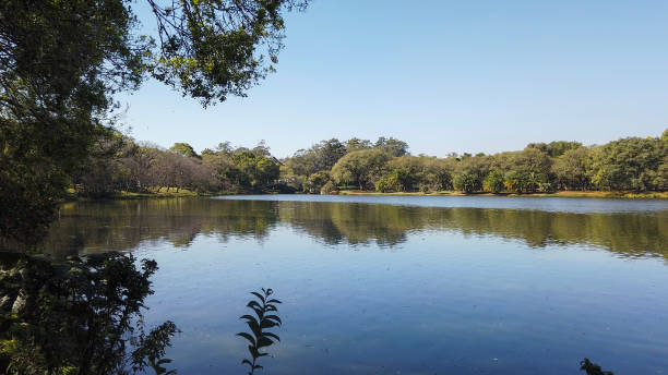 istock Ibirapuera Park Sao Paulo 1497261862