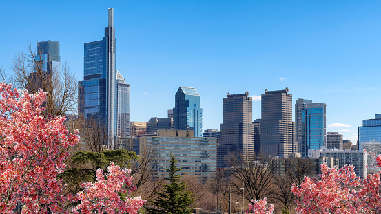 Philadelphia city skyline with spring flowers in spring sunny day, Philadelphia, Pennsylvania.