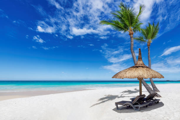 palmeras y sombrilla en playa de arena tropical y océano turquesa en isla paradisíaca - caribbean sea fotografías e imágenes de stock