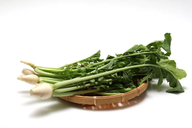 istock Radish greens on a bamboo colander isolated on a white background. 1497264284