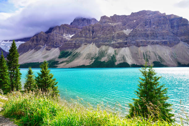 bow - bow lake foto e immagini stock