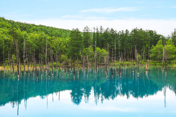 istock Scenery of Biei Blue Pond 1497267015