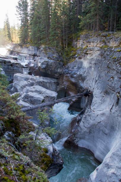istock Water rages through Maligne Canyon, Jasper National Park, Alberta, Canada 1497269521