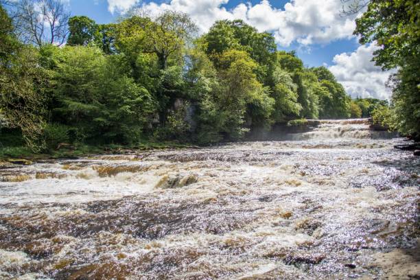 istock Fast water at Aysgarth Falls, Wenslydale, Yorkshire Dales National Park 1497269607
