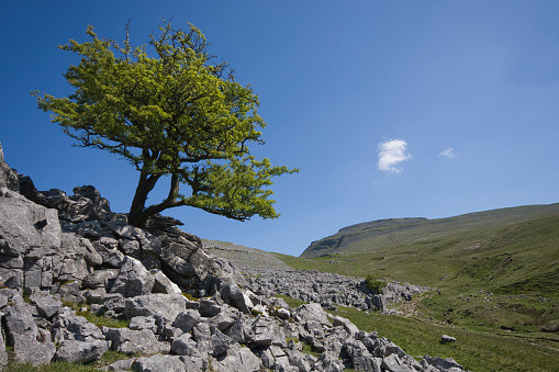 Ingleborough Hill, Yorkshire Dales National Park