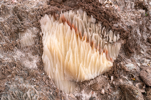 Salt formations on the stones of Garmasr salt cave in Iran