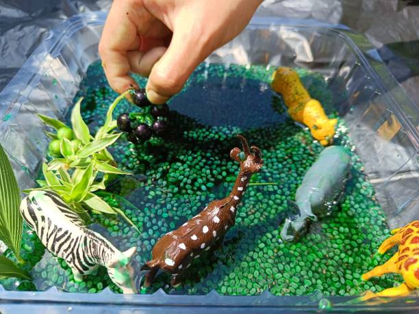 istock Montessori plays home made with animal toys 1497271790