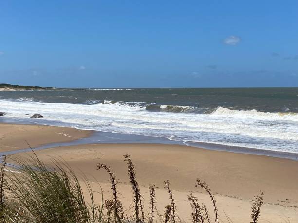 View of Punta Negra Beach