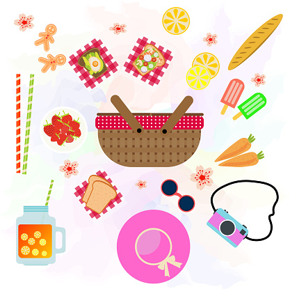 vector drawing of objects that can be taken while going on a picnic