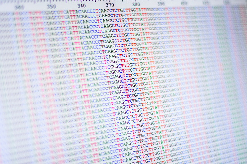 Aligned DNA nucleotide sequences displayed on a laptop computer screen. Selective focus with sharpest focus in the centre of the image.