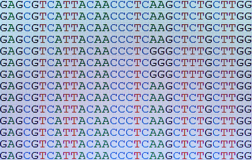 Aligned DNA nucleotide sequences displayed on a laptop computer screen. Close up of a small image on a low resolution monitor and the individual pixels of the monitor are clearly visible.