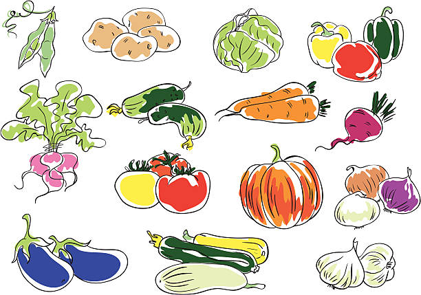 Vegetables Set of vegetables.  white cabbage stock illustrations