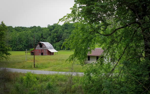 istock Tennessee Barn Bushes 1497285395