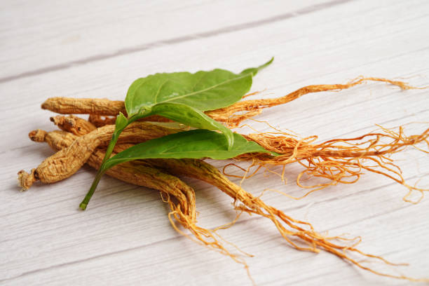 istock Ginseng roots and green leaf, healthy food. 1497289419