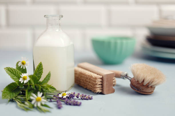 Eco friendly dishwashing brushes and detergent