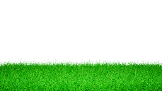 3D Green Grass Isolated on White Background, Green Grass Border, Green Grass Field on White Background