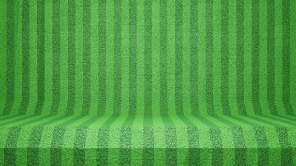 istock 3D Green Grass Lines Background Concept, Grass Lines Empty Stage, Grass Extruded Vertical Lines. Simple Moving Lines 1497297982