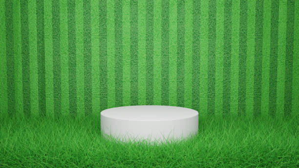 istock 3D Rendering of White Podium and Green Grass with Grass Wall Texture Background. For Organic, Environmental Care Products, Pedestal Show Case 1497297991
