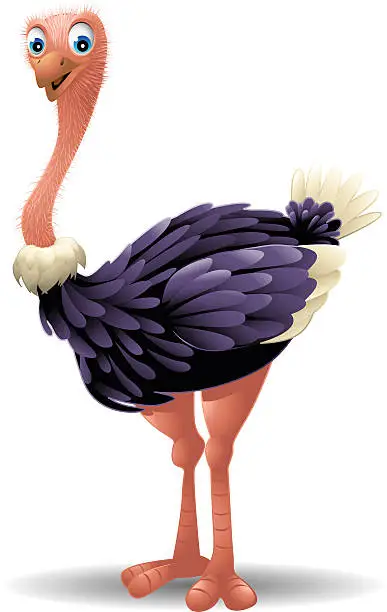Vector illustration of Ostrich