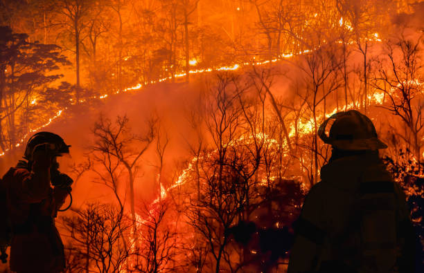 Firefighters battle a wildfire because El nino events , climate change and global warming is a driver of global wildfire trends. stock photo