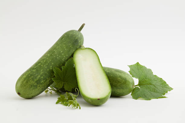 concetto di melone invernale - white gourd foto e immagini stock