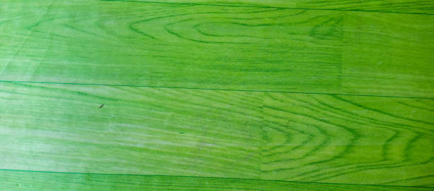 istock The texture of the cement wall that has been painted green 1497310182
