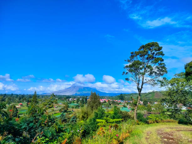 istock morning atmosphere with a very bright blue sky and a very beautiful view 1497311918