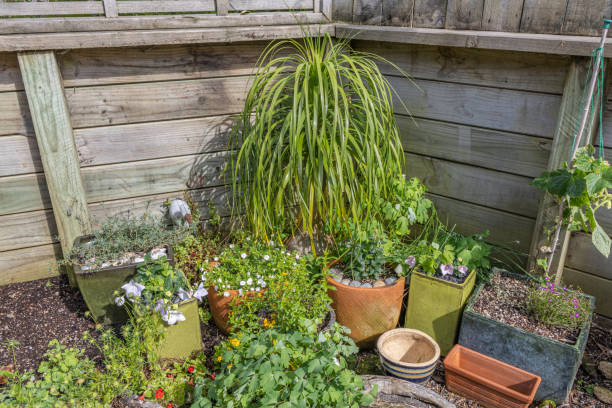 Pot Garden stock photo