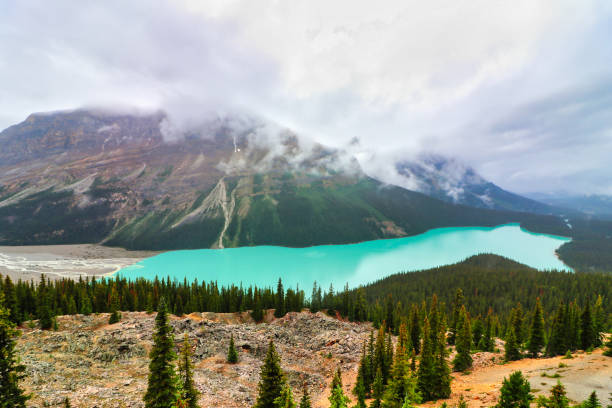 istock Peyto Lake, Icefields Parkway, Jasper 1497329173