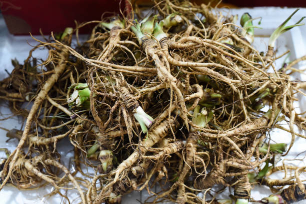 istock Many ginseng roots in vietnamese market 1497333180
