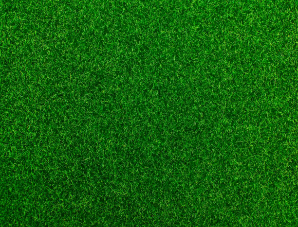 istock Green grass. Synthetic grass. Fresh green grass in spring. 1497335971