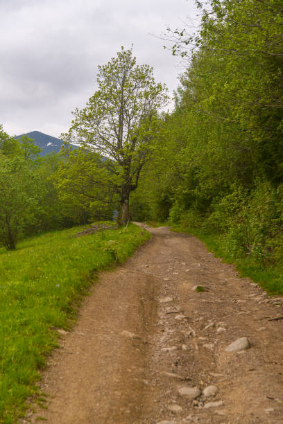 istock road in mountains with beautiful landscape 1497338072
