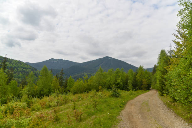 istock road in mountains with beautiful landscape 1497338074
