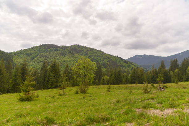 istock landscape in the mountains 1497338075