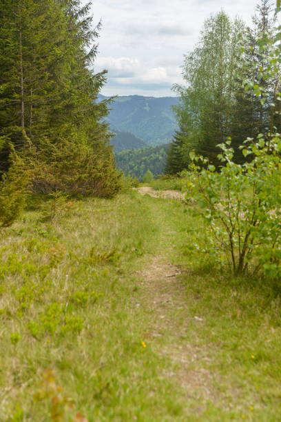 istock road in mountains with beautiful landscape 1497338082