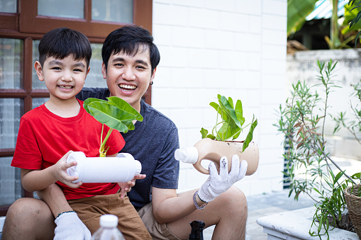 Family of two take care fresh ornamental plants on an organic garden. Young single father gathering fresh plant into a plastic pot with his son children.