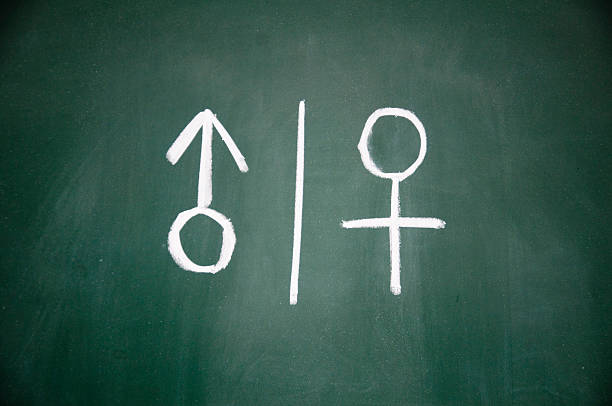istock women and men sign drawn with chalk on blackboard 149734352