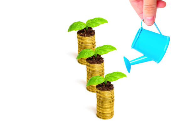 istock Watering a Group of Coin Stacks with Young Seedlings on Top 1497346914