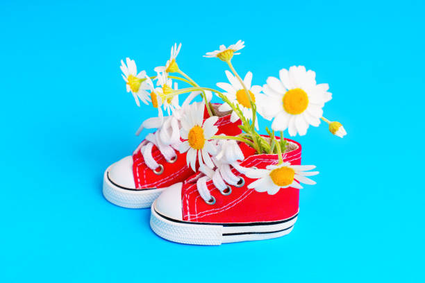 istock Miniature Red Canvas Shoes with Daisies on Blue 1497346934