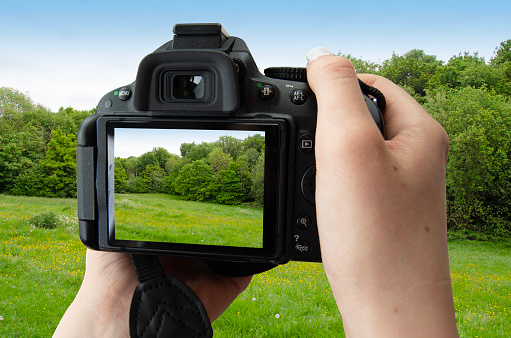 Image of girls hands holding digital camera taking picture of trees. Clipping path. Isolated background.