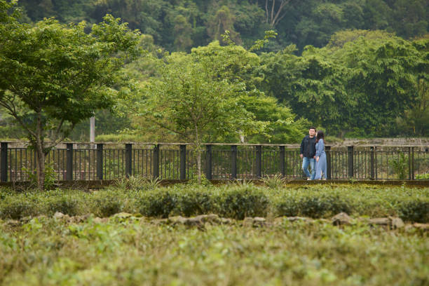Young Asia couple visit tea garden.