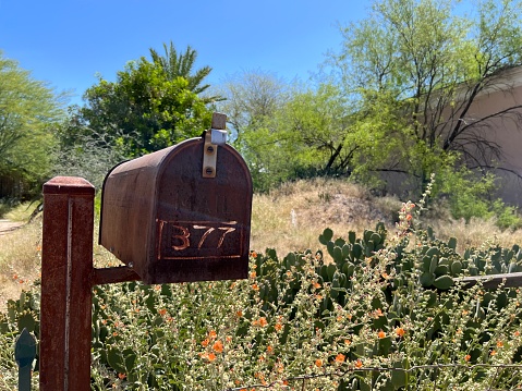 An old mailbox is the only sign that someone once lived on this vacant lot.
