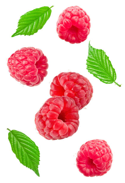 istock flying ripe raspberry with green leaf isolated on white background. macro. clipping path 1497351506