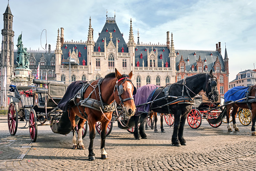 Downtown Copenhagen, Denmark, May 29, 2020: Horses and carriage in a street in Copenhagen, the horses coming from the Royal Staples and are practicing getting used to traffic