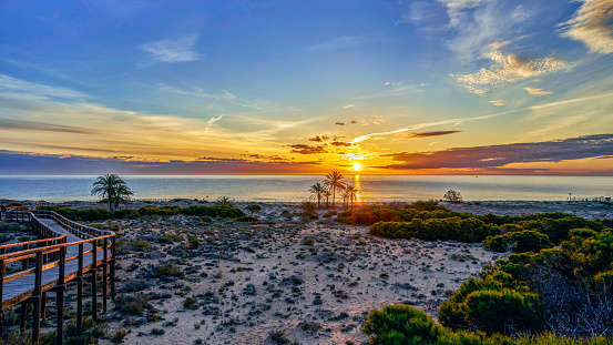 Arenales del Sol sandy beach with dune area in a natural environment. On Costa Blanca, Alicante province, Elche, Spain