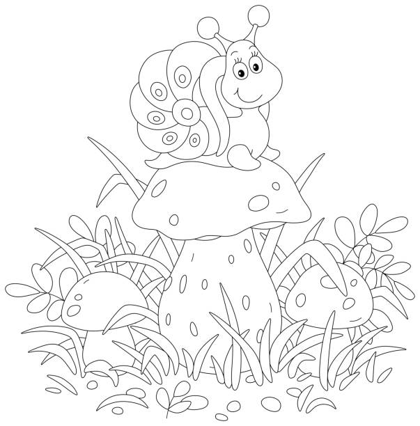 Little snail on a big mushroom Friendly smiling small forest dweller on a large cap of a cep among grass on a summer glade, black and white outline vector cartoon illustration for a coloring book thicket stock illustrations