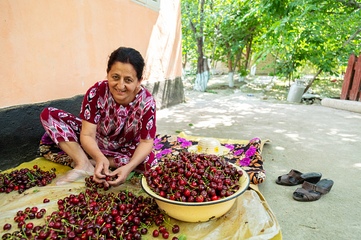 Uzbek woman in national dress sorting harvested cherries by sitting on the ground and looking at the camera