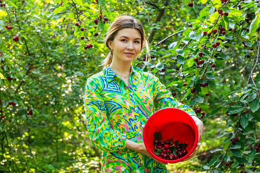 Portrait of woman in colorful dress holding the red bucket with ripe cherries in the garden and looking at the camera